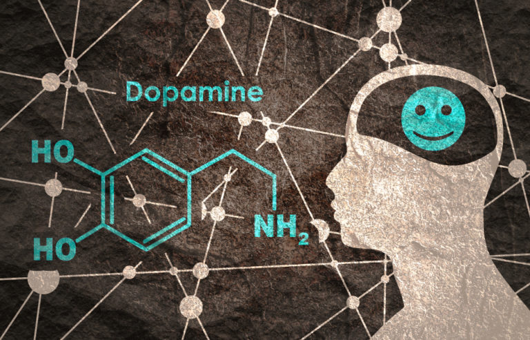 Brain on Dopamine